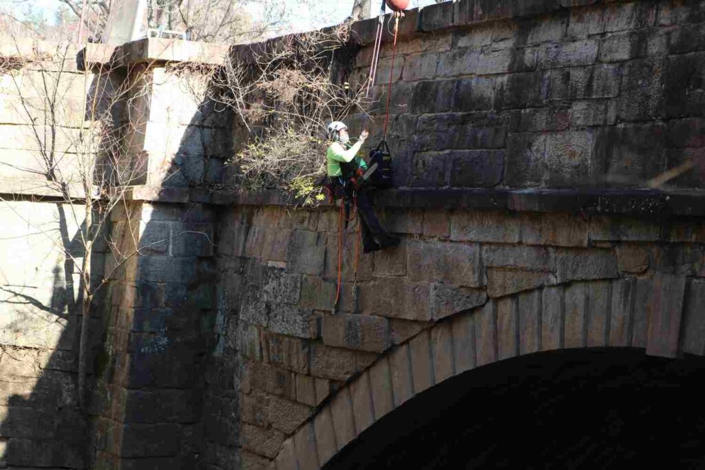 Plant health care working on a bridge