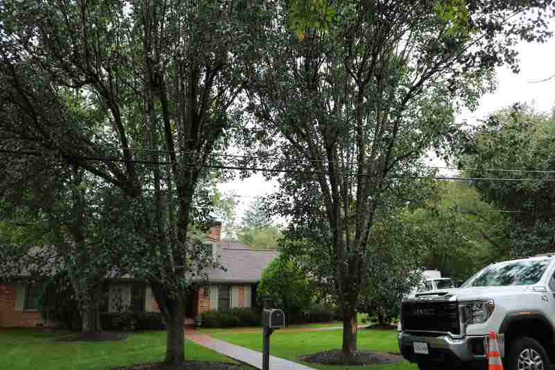 home in fairfax with large yard