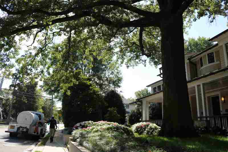 Home in virginia with flowers and plants