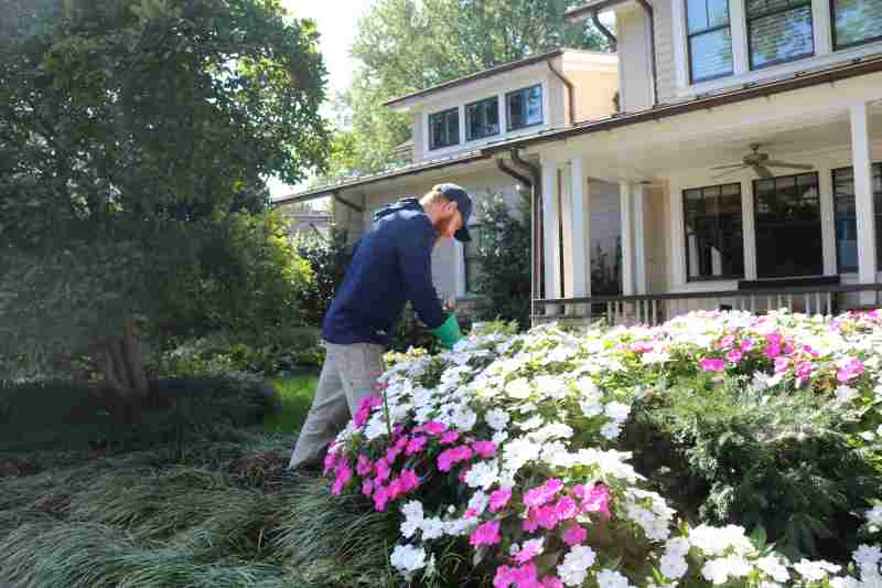 rtec employee helping with plant health care