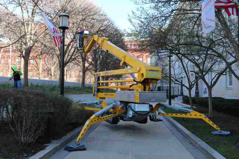 machine to remove big tree