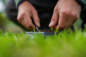 close-up of hands holding a soil sample