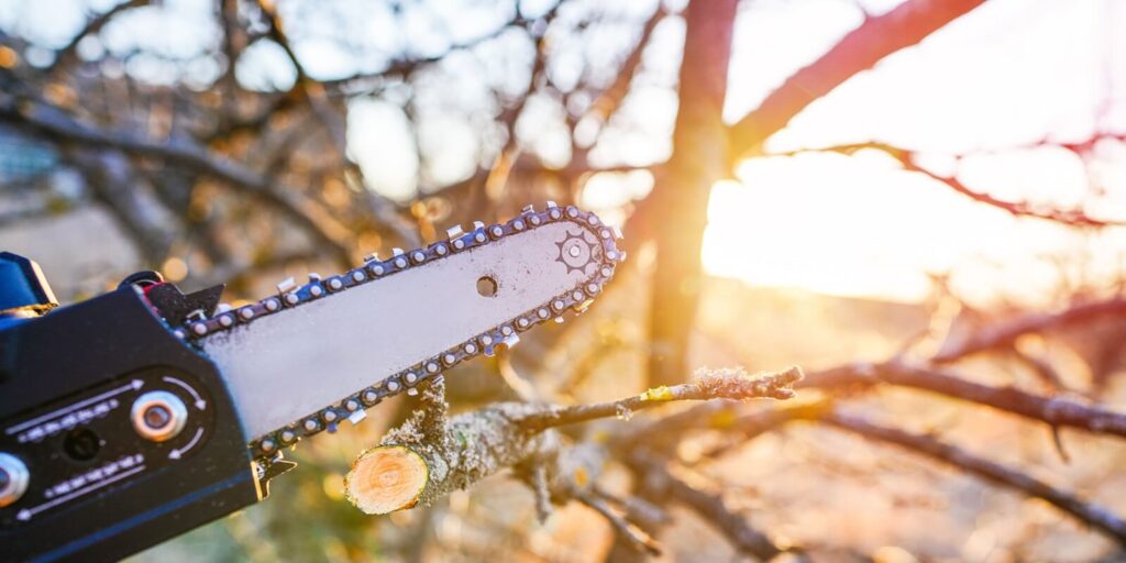 pruning chainsaw cut tree branches on sunset