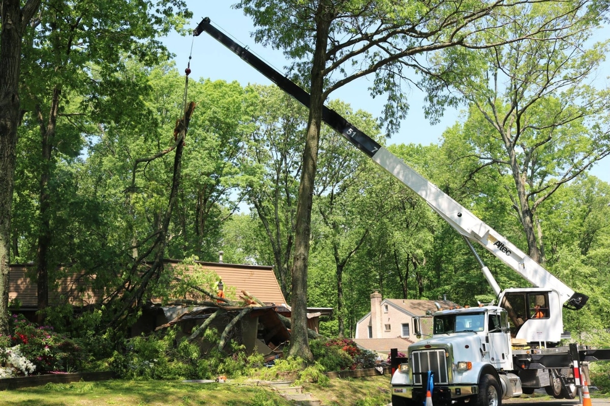 24 7 Emergency & Storm Tree Damage RTEC Treecare Environmental Services
