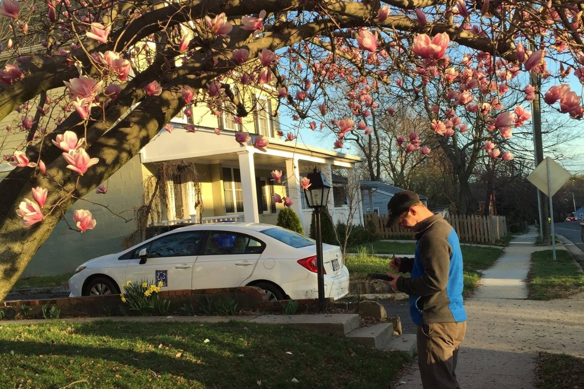 Arborist Inspection RTEC Treecare Environmental Services Maryland Northern Virginia Washington DC