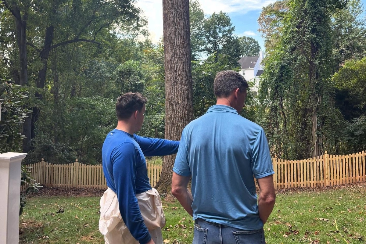 Mosquito Control RTEC Treecare Environmental Services