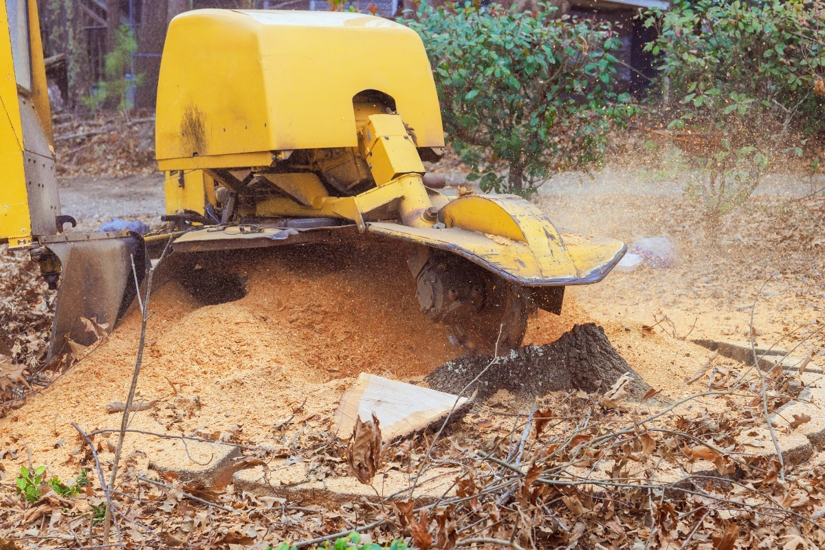 Stump Grinding RTEC Treecare Environmental Services