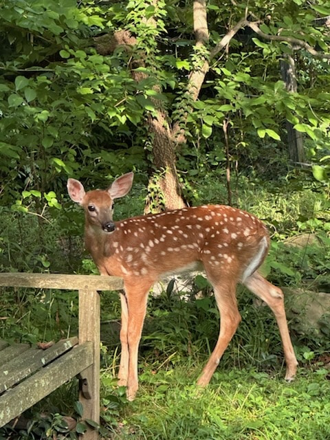 2ZB5PYeEQwJRpxTL7Jfl (1)