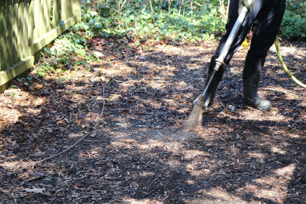 Biostimulant Multivitamin RTEC Treecare Plant Health Care Services