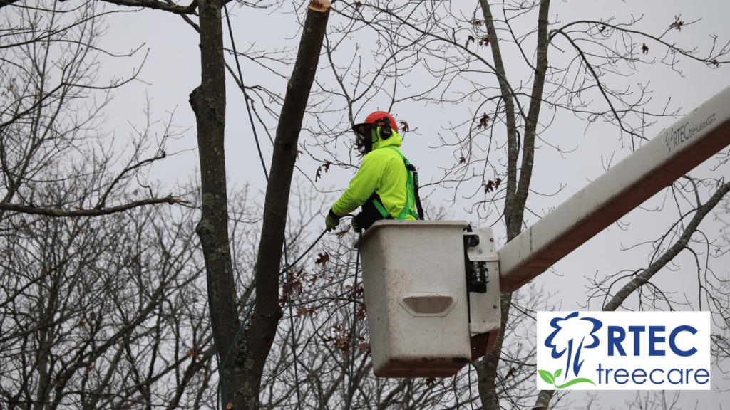 Email Images (19) (1)