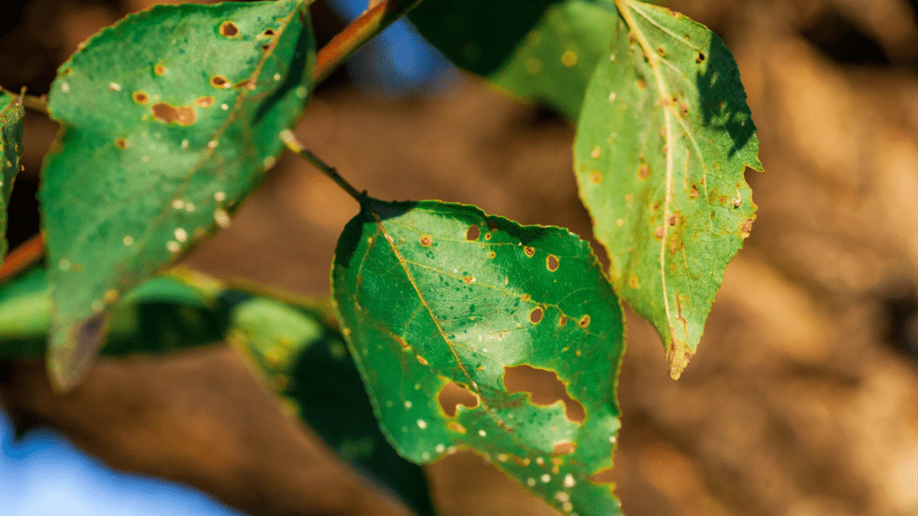 Email Images (21) (1)