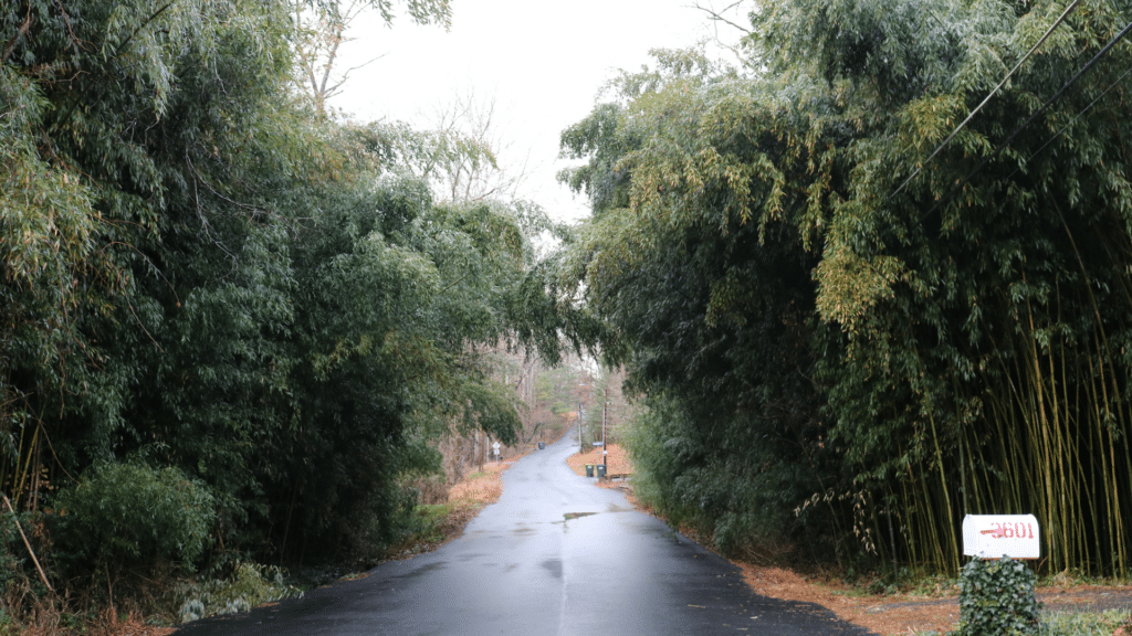 Email Images (24) (1)