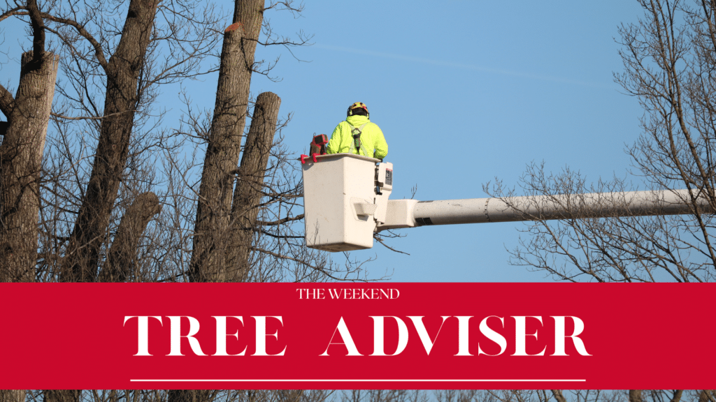 Email Images (29) (1)