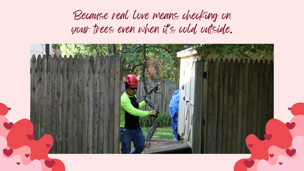 Email Images (30) (1)