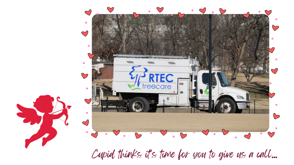 Email Images (31) (1)