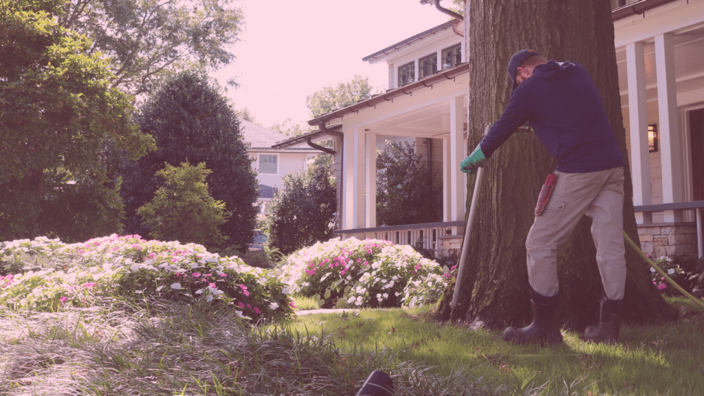 Email Images (32) (1)