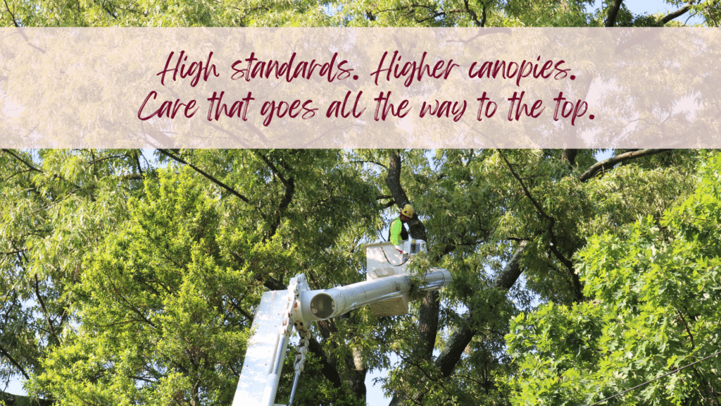 Email Images (33) (1)