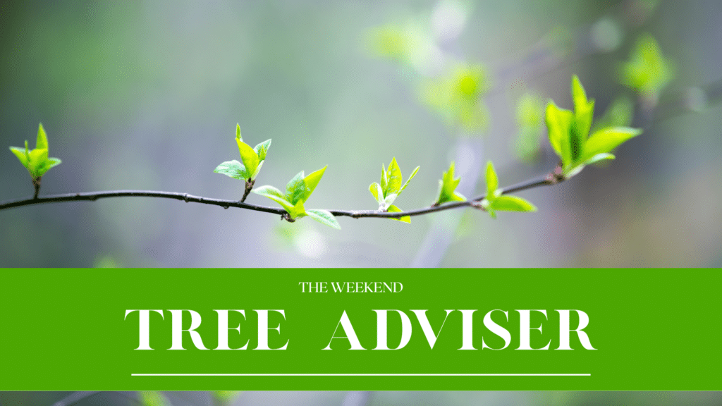 Email Images (35) (1)