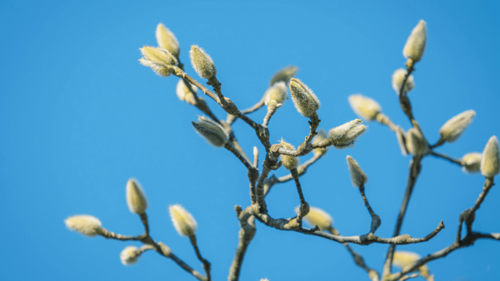 Email Images (37) (1)