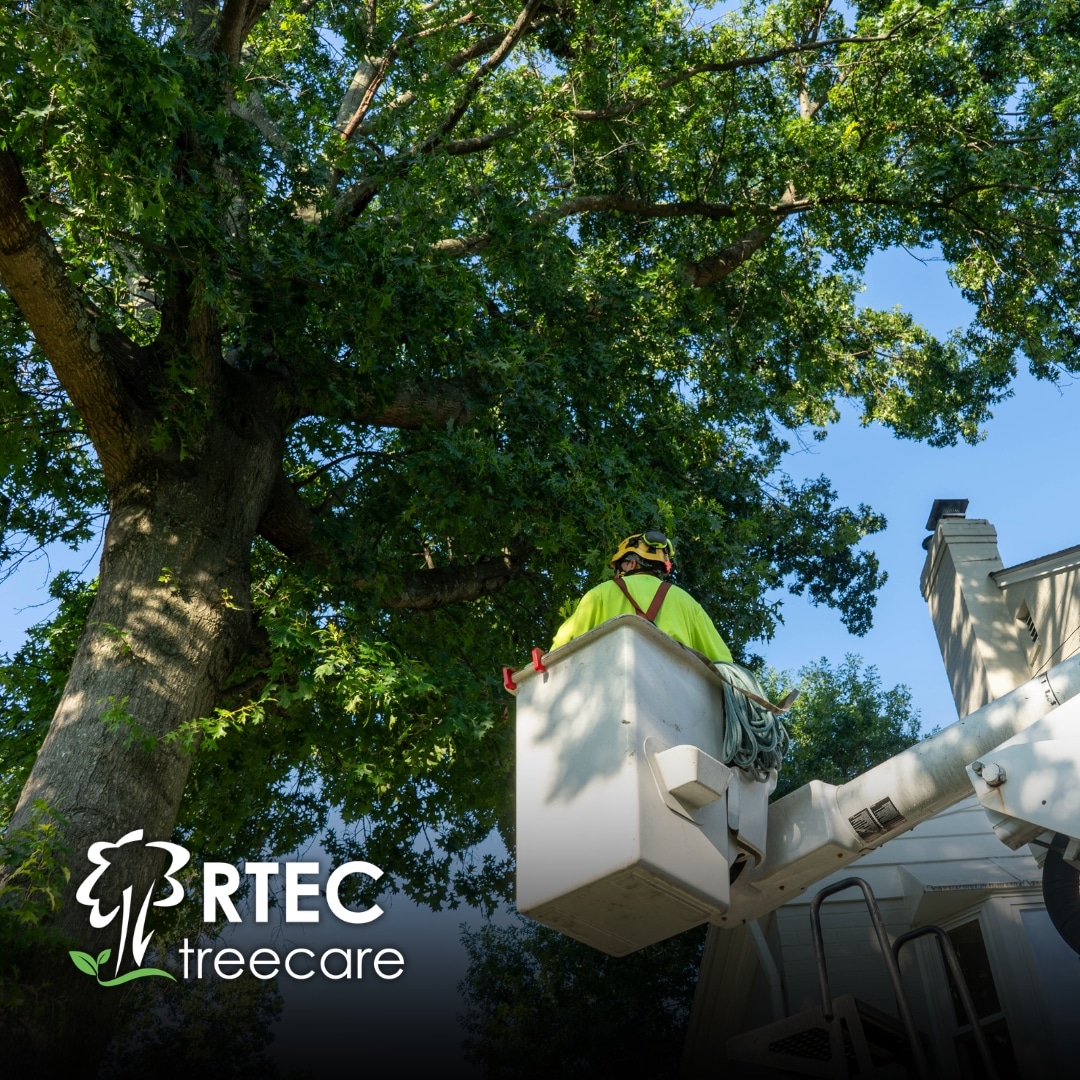 Industry Recognition Accreditations & Accolades RTEC Treecare and Plant Health Care