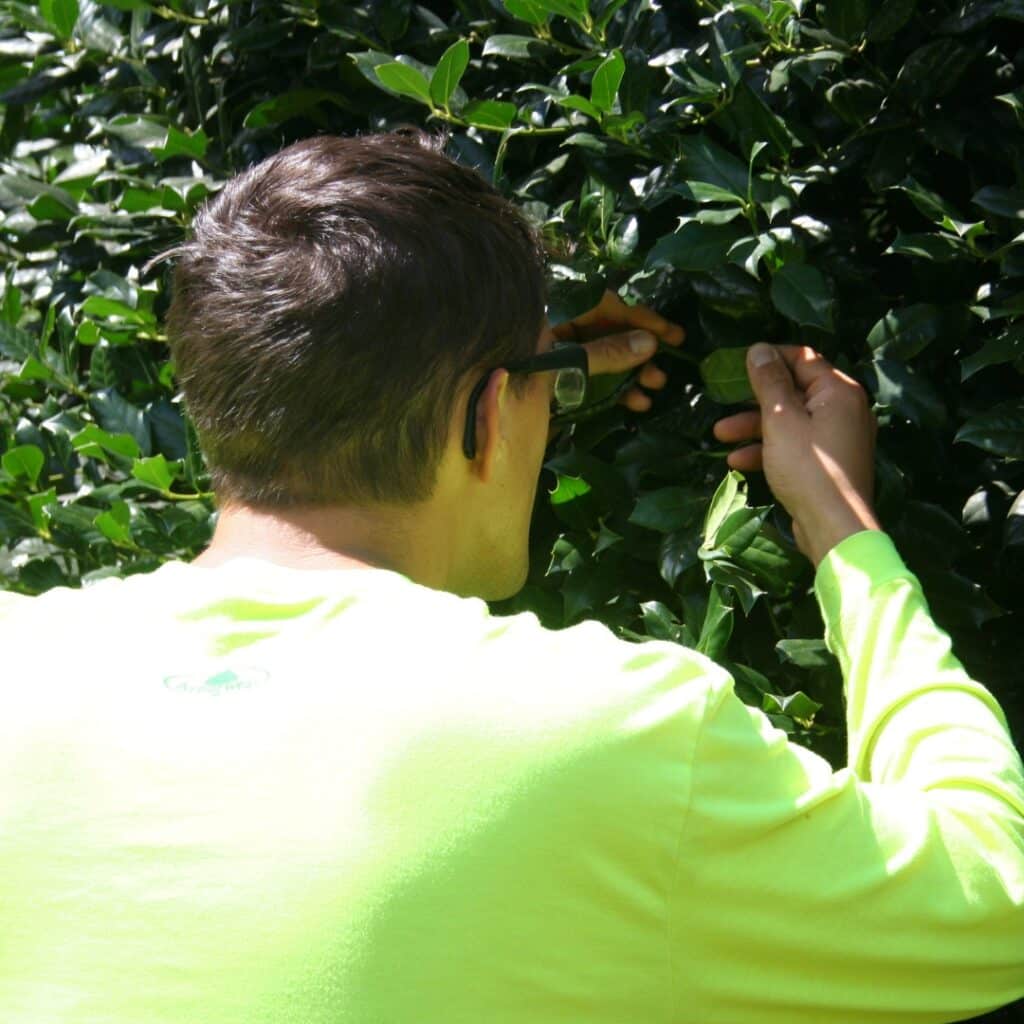 Plant Health Care RTEC Treecare Services