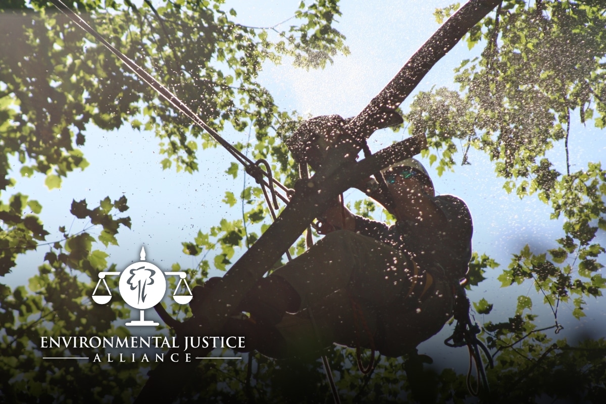 RTEC Environmental Justice Alliance Highlight