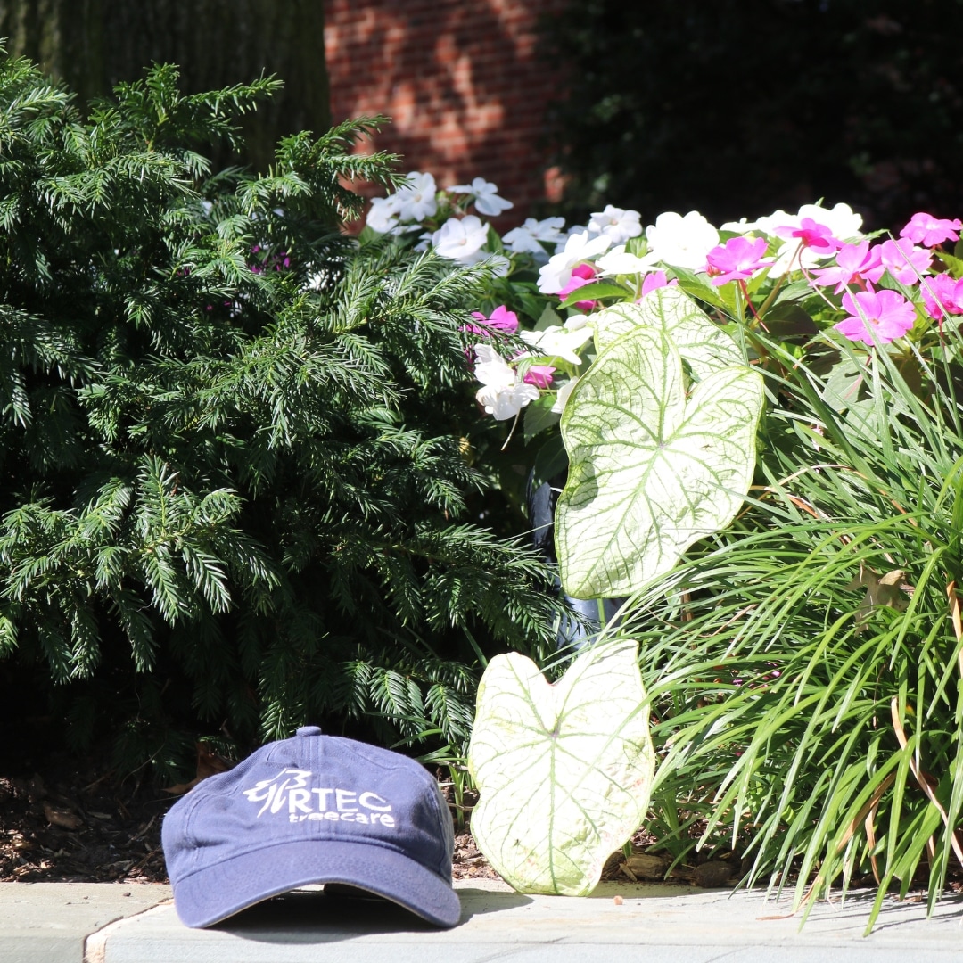 RTEC Treecare Dedicated to Sustainabilit