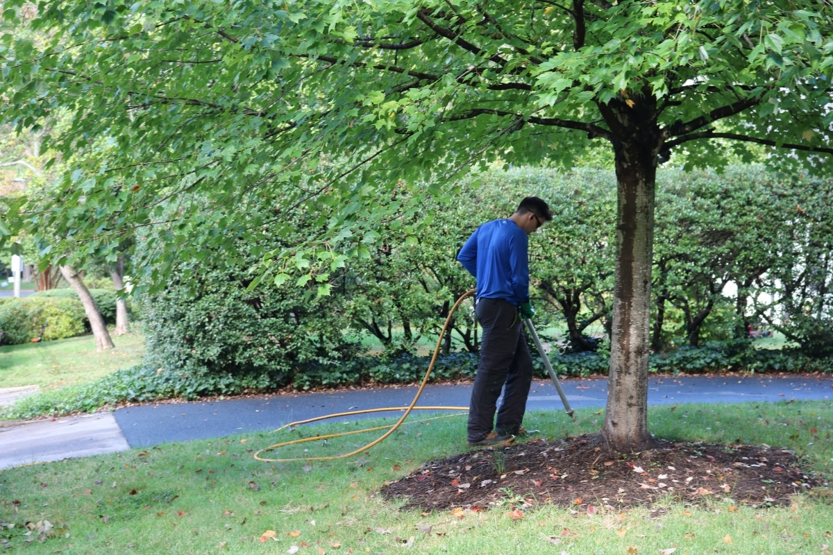 Vertical Mulching RTEC Treecare Plant Health Care