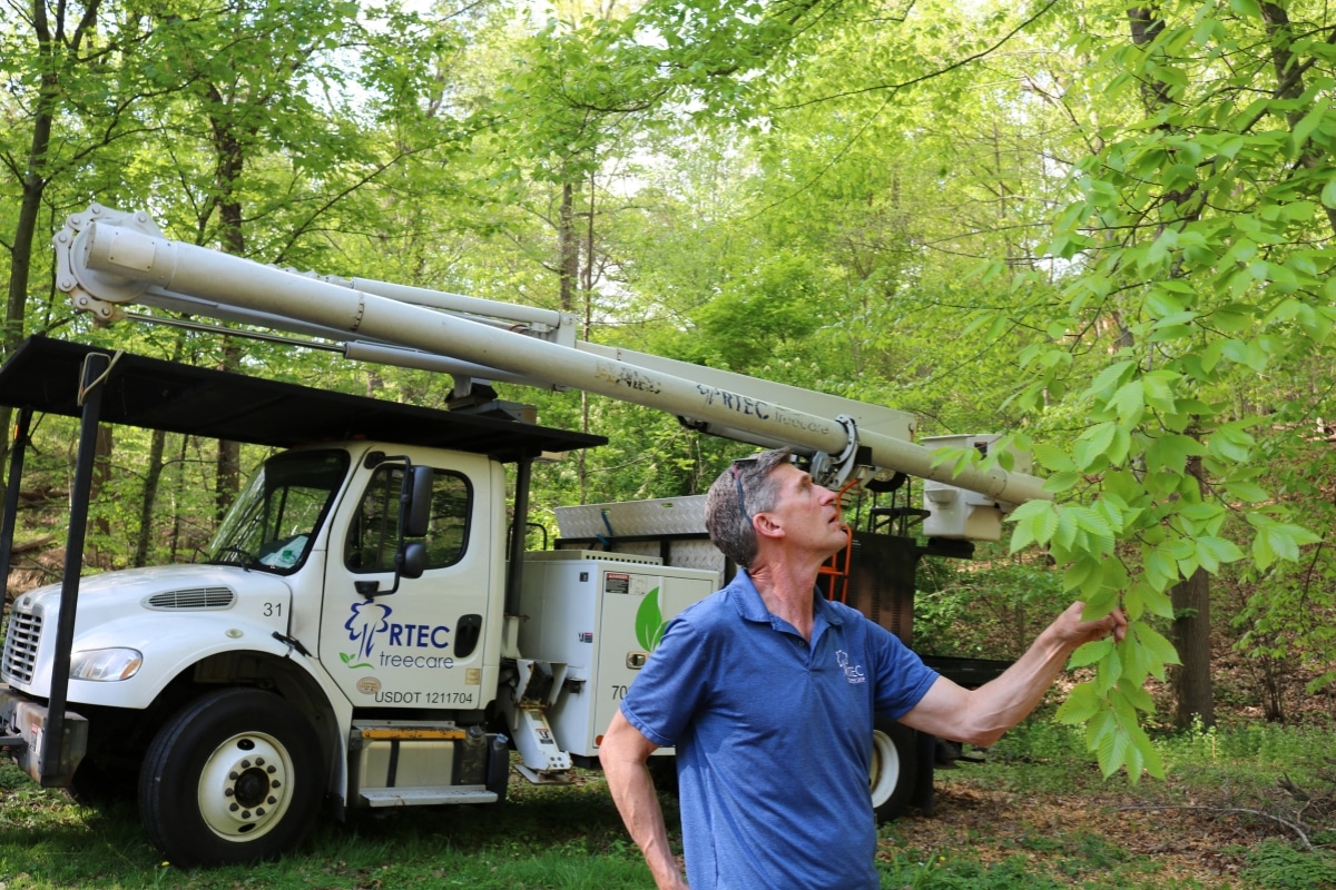 Andy The Founder Eco Friendly Plant Health Cares RTEC Treecare