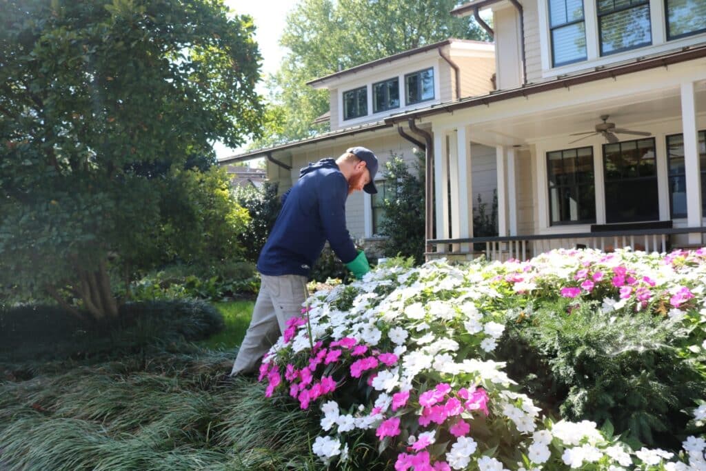 Professional Plant Health Care PHC Biostimulant Services RTEC Treecare