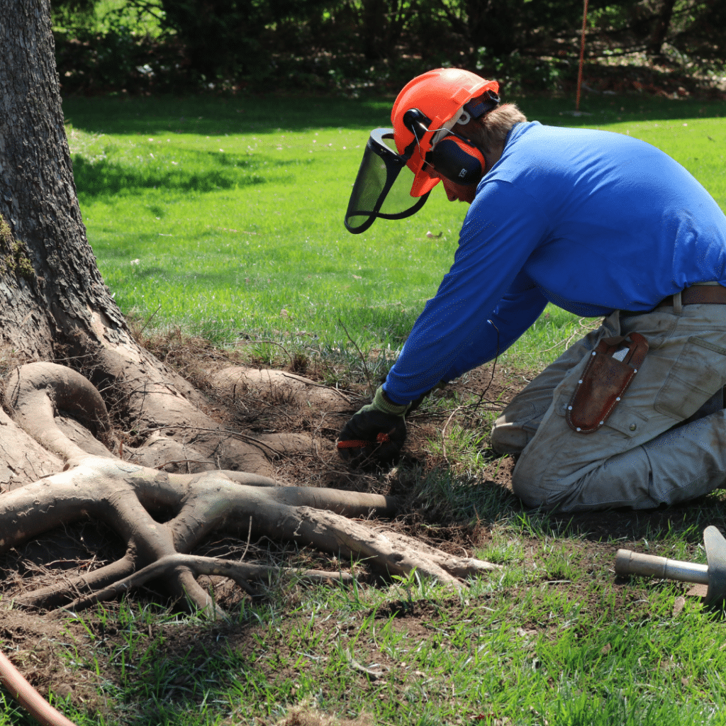 Professional Plant Health Care RTEC Treecare