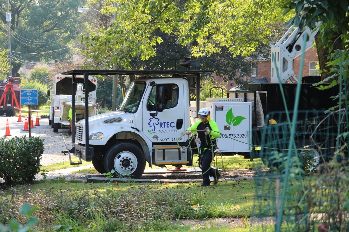 RTEC Treecare Environmental Services Plant Health Care Certified Arborist