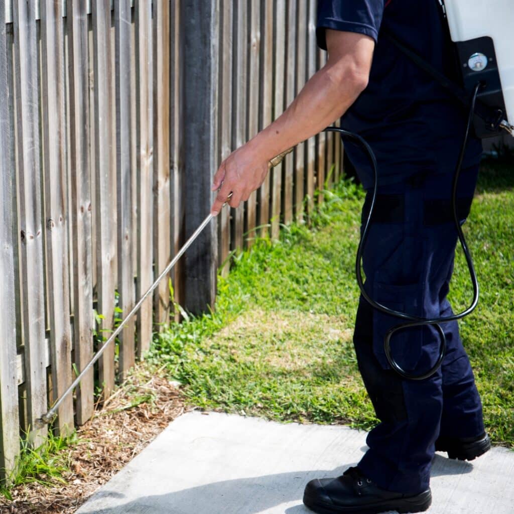Residential Home Eco Friendly Mosquito Control Services RTEC Treecare