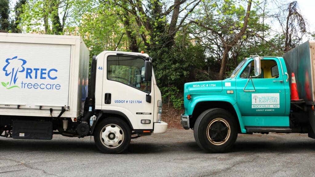Integrated Plant Care Joins the RTEC Treecare Family Professional Tree and Plant Health Care Services RTEC Treecare