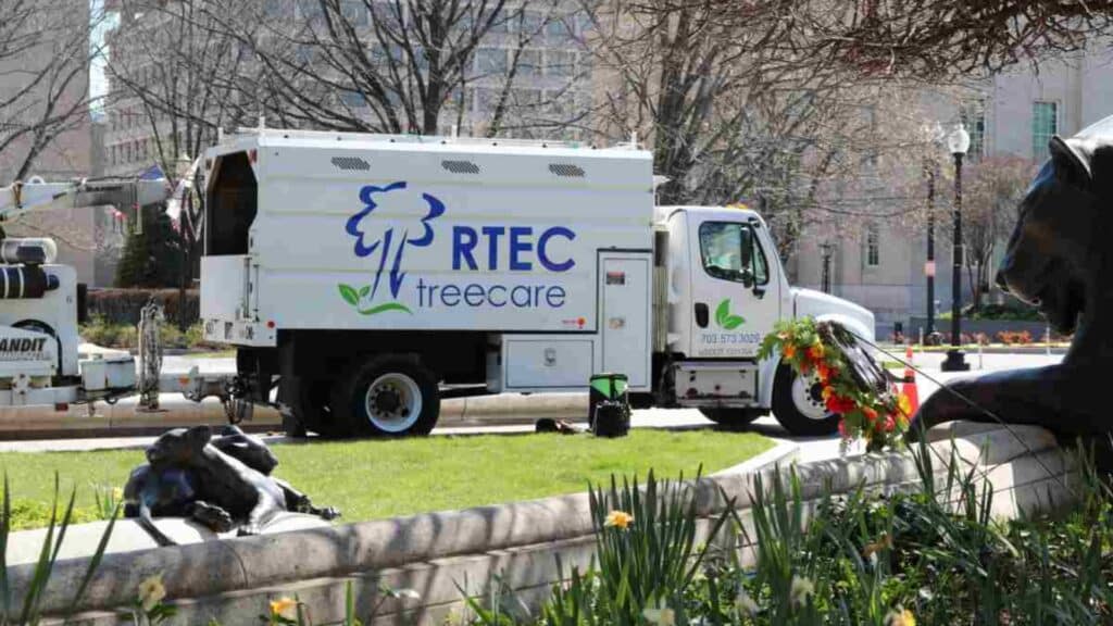 How to Read Your Tree's Warning Signs A Homeowner's Guide Certified Arborist Plant health Care Experts RTEC Treecare Virginia