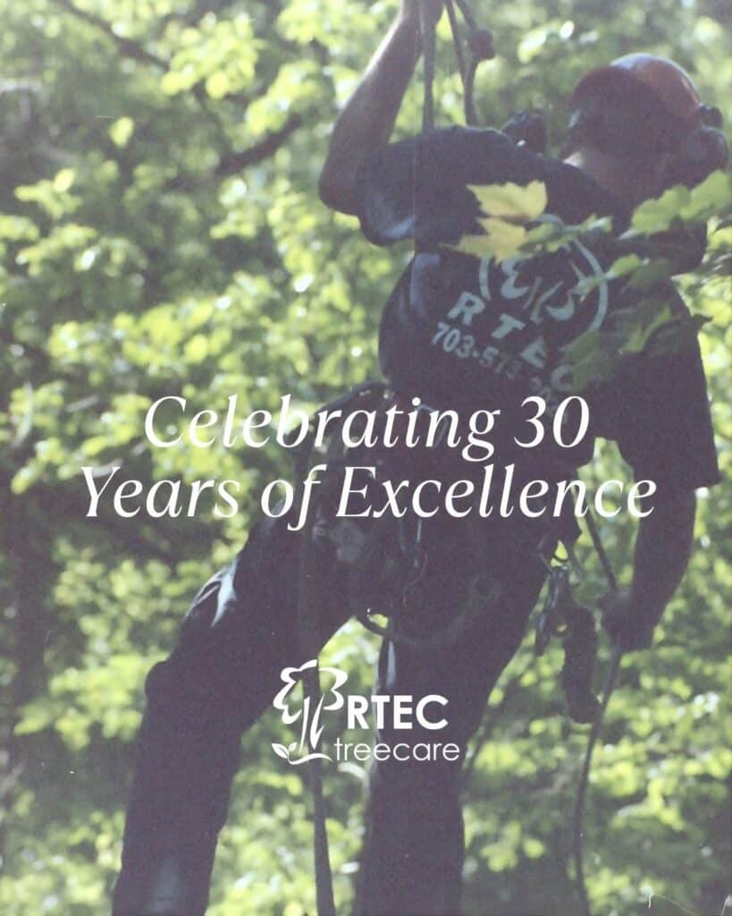 RTECTREECARE August Newsletter 2026