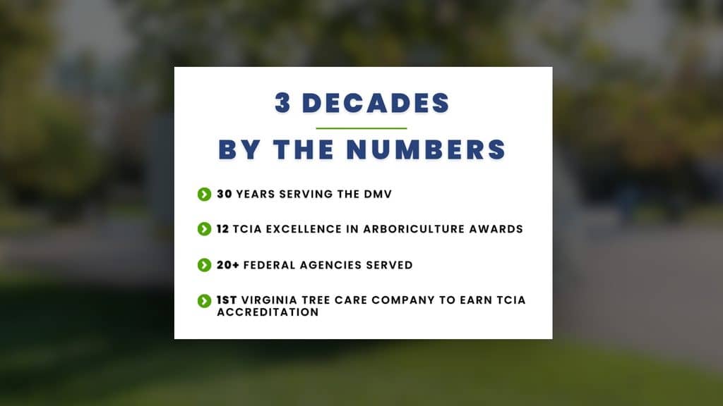 3 Decades By The Numbers RTEC Treecare