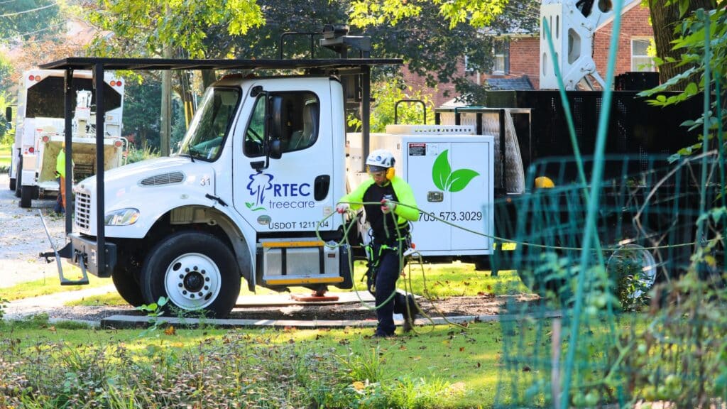 Celebrating 30 Years of RTEC Treecare RTEC Treecare