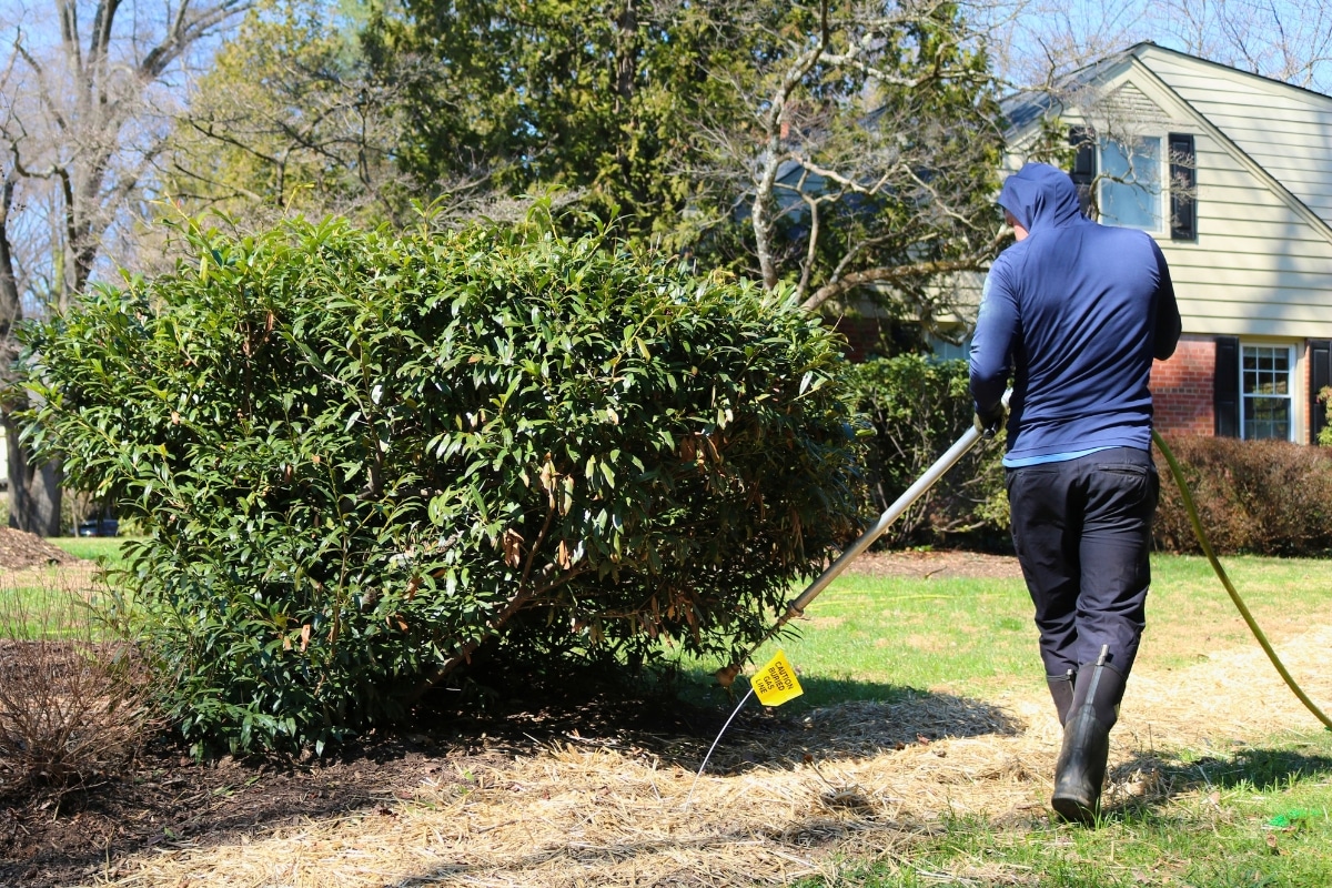 Professional Bistimulant Services RTEC Treecare