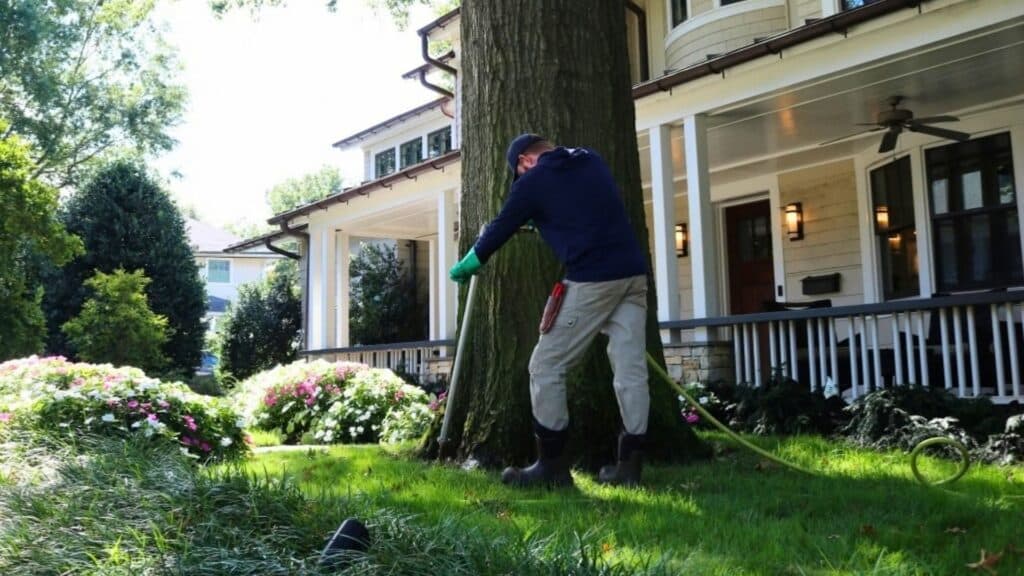 Tree Disease in Virginia A Homeowner's Guide to Common Tree Threats Biostimulant Services RTEC Treecare