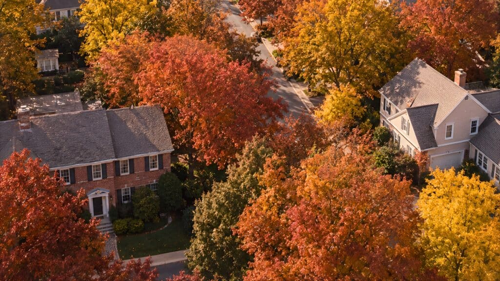 Tree Disease in Virginia A Homeowner's Guide to Common Tree Threats Northern Virginia Common Tree Diseases RTEC Treecare