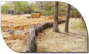Tree Protection During Construction 1