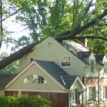 Tree Fell On House