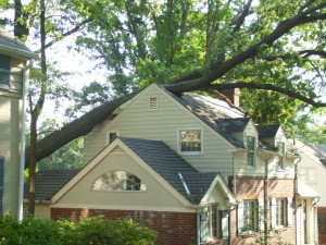 Tree Fell On House 