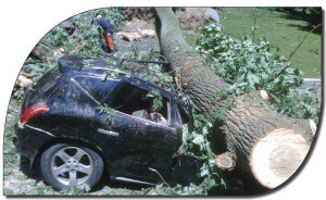 storm damage car