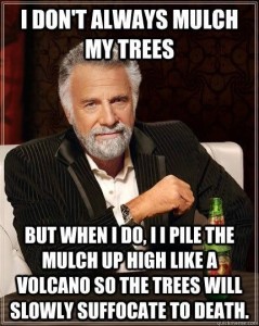 Mulch Volcano Meme