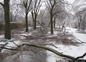 ice strom damage