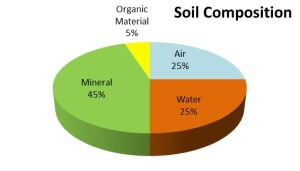 poor soil composition