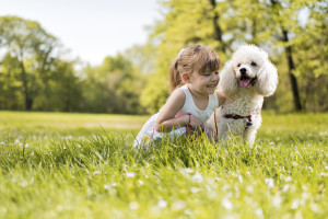 Mosquito treatment safe for dogs, Mosquito treatment safe for kids & babies!