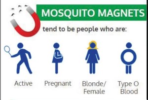 mosquito magnets